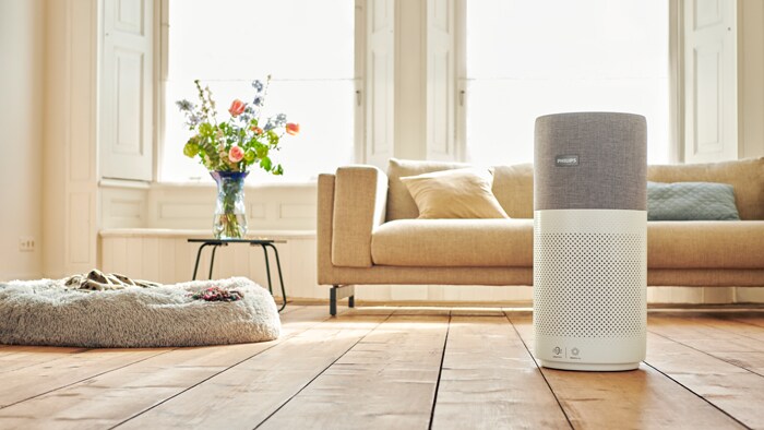 10 Best Air Purifiers to Buy in India 2022