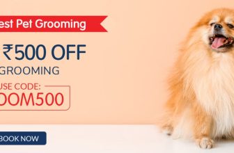 Get The Best Pet Grooming 🐶• Get Flat ₹500 OFF ON GROOMING• USE CODE : GROOM500