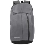 Amazonbasics – Mini Backpack For Outdoor Use (12 L) (Metallic Grey)