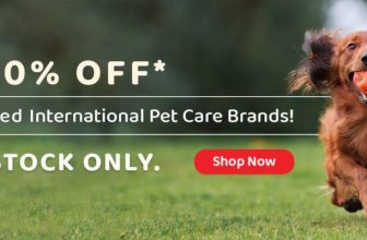Zigly For Happy Pets• Get Flat 40% Discount On All Pets Toys•