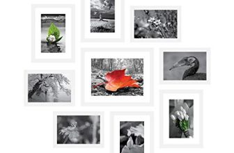 Amazon Brand – Solimo Collage Set Of 9 Photo Frames ( 5 X 7 Inch – 4, 6 X 8 Inch – 4 & 8 X 10 Inch – 1) , White