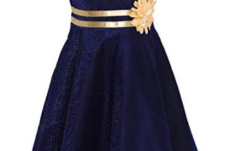 Aarika Baby Girl’S Net A-Line Knee-Long Dress (Fk-116_Blue_9-12 Months)