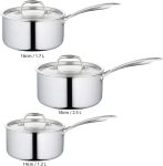 Borosil Cookfresh Five-Ply Sauce Pan 24 Cm Diameter With Lid 1.8 L Capacity(Stainless Steel, Induction Bottom)