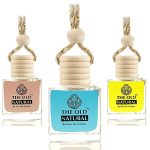 The Old Natural Car Freshener With Essential Oils Fragrance In Glass Bottle With Wooden Diffuser Lid | Car Perfume 10Ml