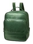 F Gear Belden Luxur 18 Ltrs Bottle Green Casual Backpack (2896)