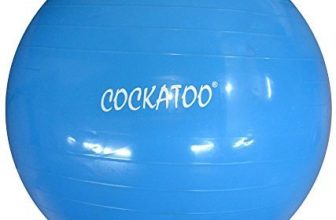 Cockatoo Gb-75 Anti-Burst Gym Ball, 75Cm