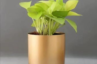 Patio Planet 4.3 Inches Round Metal Planter For Home Decor, Pack Of 1 (Gold)