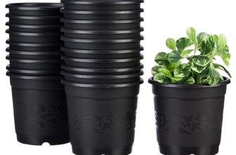 Amazon Brand – Solimo 100% Virgin Plastic Round Nursery Planter Pot | Indoor And Outdoor Flower Pot For Home/Office/Table/Garden/Balcony Decoration | 6 Inch (Set Of 20)