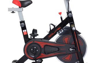 Lifelong Llf45 Fit Pro Spin Fitness Upright Stationary Exercise Bike(Black)