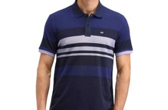Arrow Sports Men’S Striped Regular Fit Polo Shirt (Asaeots5278_Blue