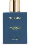 Bellavita Polar Breeze Perfume For Men|Citrusy & Woody Notes|Long Lasting Fragrance| Eau De Parfum – 100 Ml(For Men)
