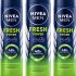 Rexona Aloe Vera Underarm Roll On Deodorant For Women (Po3) Deodorant Roll-On  –  For Women(150 Ml, Pack Of 3)