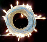 Lexton Decorative 10 Meter Rice Light (White)