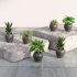 Trustbasket Evander Wall Bracket For Hanging Plants (Pack Of 5) Wall Shelf Brackets Plant Hangers For Hanging Flower Pots For Indoor And Outdoor Plants