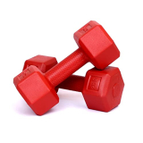 Fitbox Sports 2Kg Hexa Pvc Dumbbells (1Kg X 2) Red
