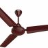Orient Electric Laurel Bee Star Rated Ceiling Fan For Home | High Speed | Designer | Rust Proof Blades | Smooth Motor Operation (White Chrome Pack Of 1)