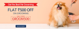 Get The Best Pet Grooming 🐶• Get Flat ₹500 OFF ON GROOMING• USE CODE : GROOM500