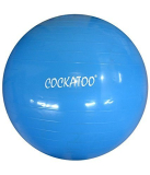 Cockatoo Gb-75 Anti-Burst Gym Ball, 75Cm