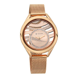 Titan Women Stainless Steel Animalia Analog Rose Gold Dial Watch-95130Wm01, Band Color-Rose Gold