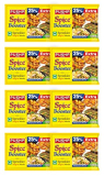 Pushp Brand Spice Booster Magical Masala Pack Of 40