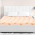 Springwel Endura Plus 4-Inch Single Size Pu Foam Mattress (Beige, 78X36X4)