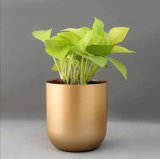 Patio Planet 4.3 Inches Round Metal Planter For Home Decor, Pack Of 1 (Gold)