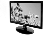 Enter 15.4 Inches Hd 1280 X 800 Pixels Led Backlit Monitor With Hdmi & Vga (E-Mo-A06, Black)