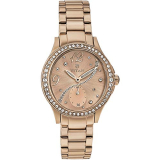 Titan Spring Summer’15 Analog Rose Gold Dial Women’S Watch-Nl95024Wm01/Np95024Wm01