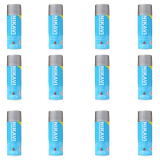 Nikavi Sp13 Multipurpose Spray Paint (400Ml, High Heat Silver)